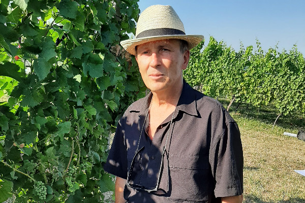 Stress hydrique réduit pour les vignes au couvert végétal et local