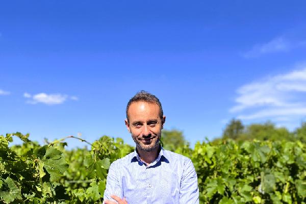  La coopération, un modèle rassurant pour s'installer en viticulture
