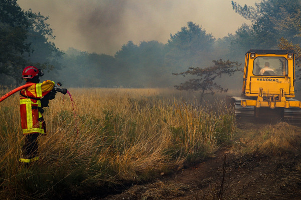 Un pare-feu pour protéger des incendies les Grands Chais de France à Landiras