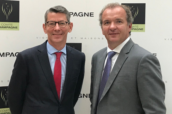 Rendement à 12 000 kg/ha en Champagne, le plus élevé depuis dix ans