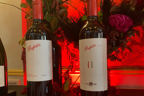 Penfolds met du vin australien dans ses premières cuvées médocaines