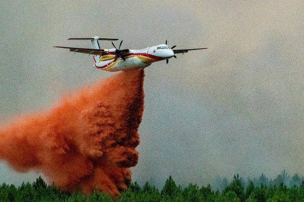 Demande d’étude sur les 'effets secondaires' des incendies sur les vignes et leurs vins   