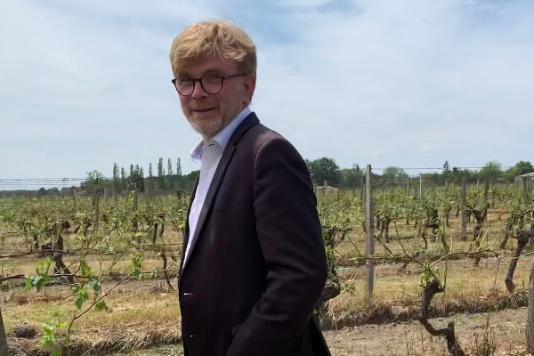 'Message d’espoir' du ministre de l’Agriculture face aux sinistres de la viticulture   