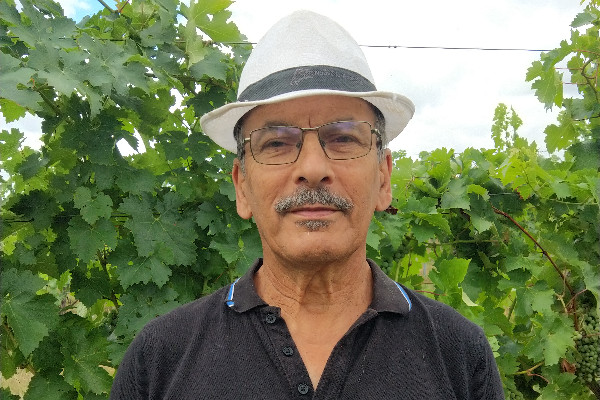 Il faut 'éviter une déprise viticole anarchique' à Bordeaux