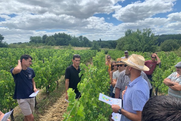 Les vignerons doivent élever leur tolérance aux herbes face aux limites du glyphosate et du beloukha