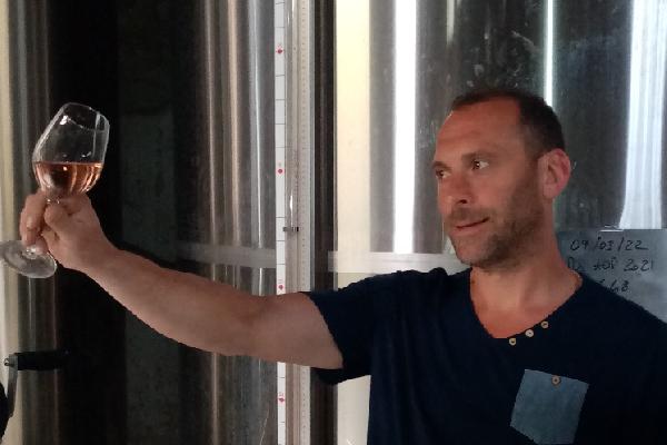  La PVPP n'a plus la cote pour coller les moûts rosés mais il y a une alternative