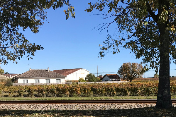 Où en est Pestiriv, l’étude d’exposition aux pesticides en zones viticoles ?