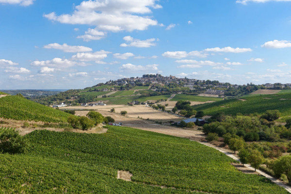 Le groupe Bollinger acquiert le domaine Hubert Brochard