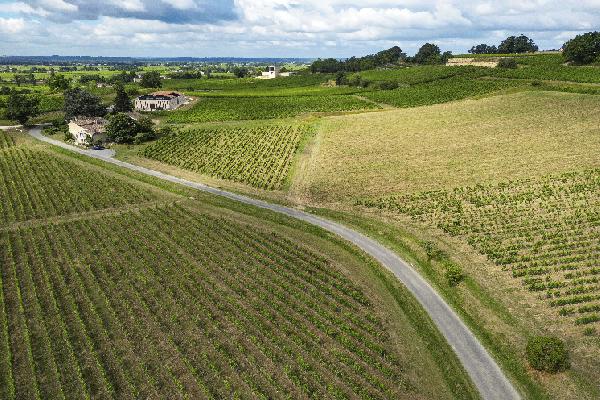  Place à la valeur économique pour évaluer une exploitation viticole avant sa cession