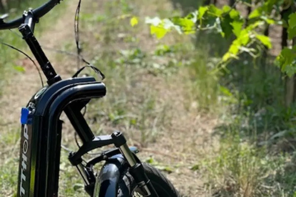 Trottinette tout-terrain pour découvrir vignobles, caves et distilleries