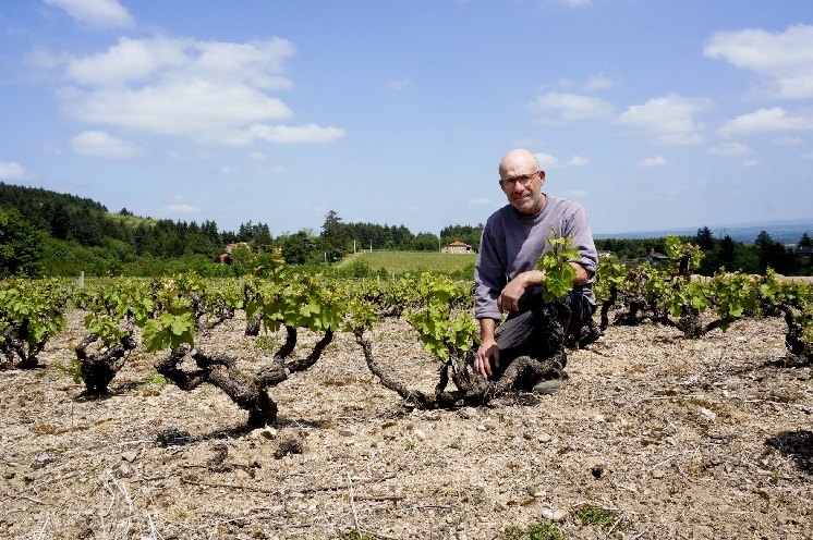  Les Chaucesse, une saga familiale dans le vignoble de la Côte roannaise