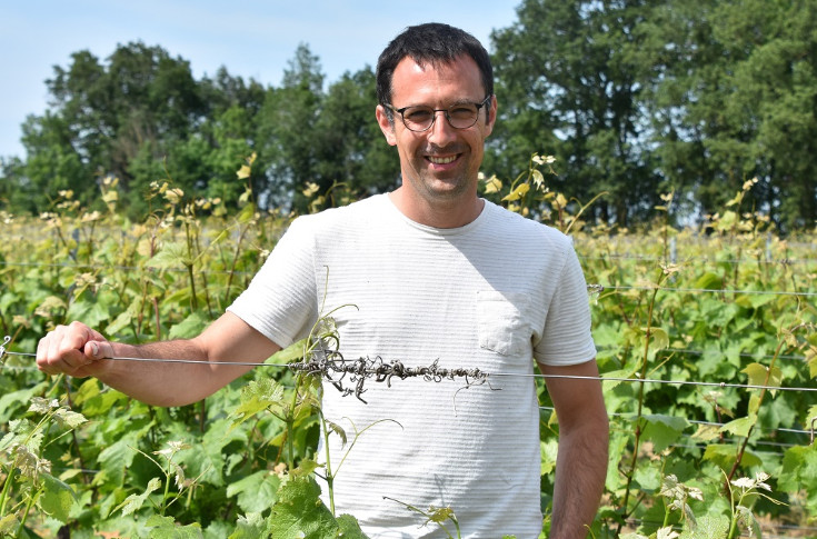 Un jeune président à la tête des vins d’Anjou-Saumur