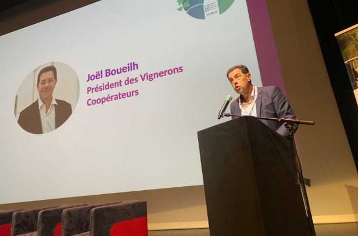 Who’s the boss? For co-operative winegrowers, it’s the consumer Who’s the boss? For co-operative winegrowers, it’s the consumer