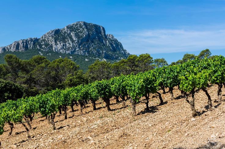 Pic Saint-Loup gravi pour les vins AOP rouges et rosés, pas encore pour les blancs