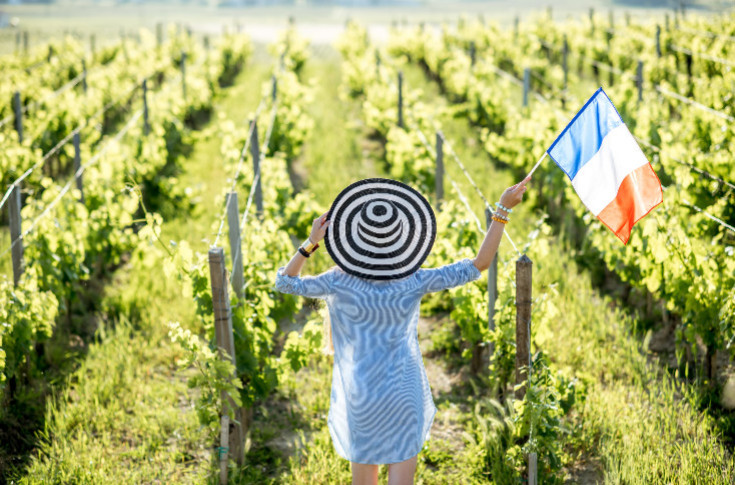 🇫🇷 Jour d’insatisfaite nationale pour la vigne 🇫🇷