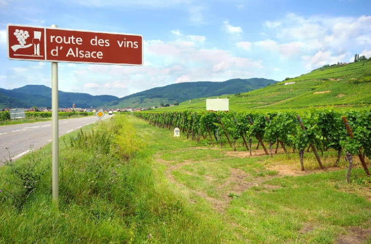  À 70 ans, la route des vins d'Alsace continue d'attirer les touristes comme un aimant