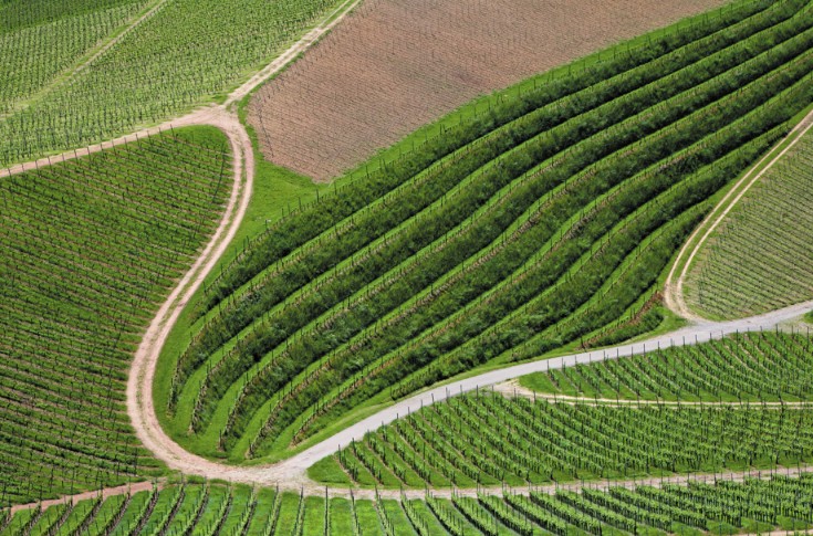 Les cartes des appellations viticoles disponibles en ligne