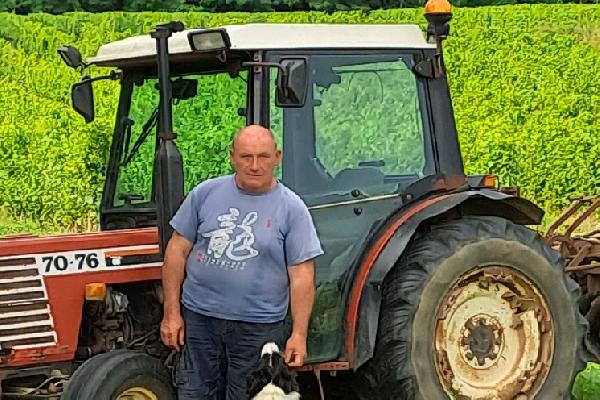 Les pluies incessantes, le manque de produits efficaces ou de main-d'oeuvre ont favorisé le mildiou