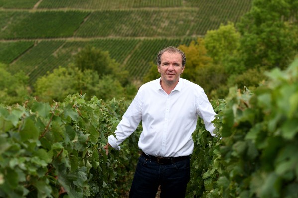 +25 % de mise en réserve pour les vins de Champagne 