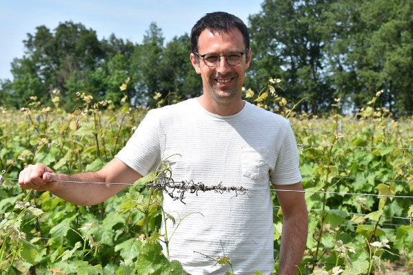 Un jeune président à la tête des vins d’Anjou-Saumur