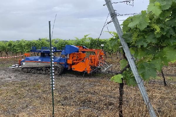 Le robot 100 % électrique Slopehelper fait ses premiers pas dans les vignes