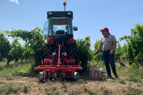 Des pulvériseurs coniques Boisselet pour des rangs de vignes travaillés en surface