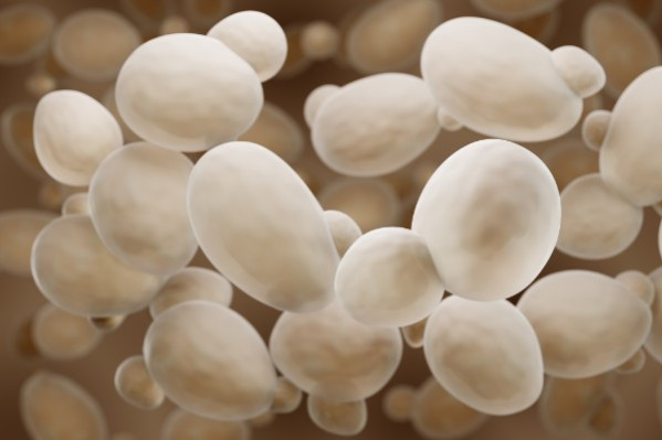 Un député veut obliger l'étiquetage du levurage des vins, proposition excentrique ou logique ?