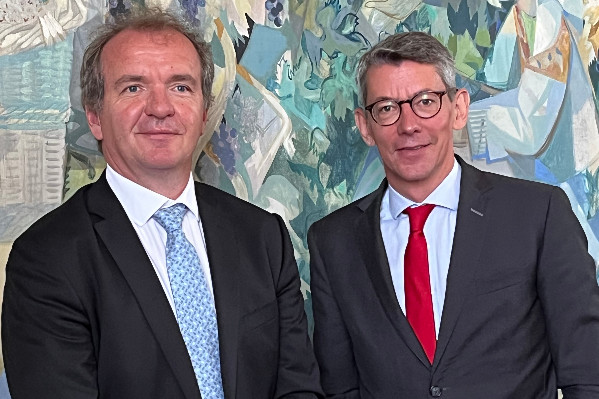 'Raisonnable et confiante', la Champagne fixe son rendement 2023 à 11 400 kg/ha