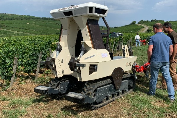 Le robot enjambeur Zilus, petit nouveau de Sabi-Agri en démo dans les vignes