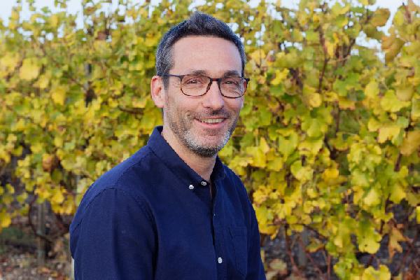  Le mildiou de fin saison a un impact qu'il ne faut pas négliger