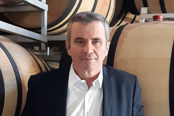 'On ne peut pas laisser mère nature gérer la filière vin'