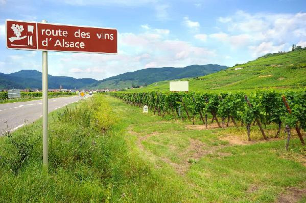  À 70 ans, la route des vins d'Alsace continue d'attirer les touristes comme un aimant