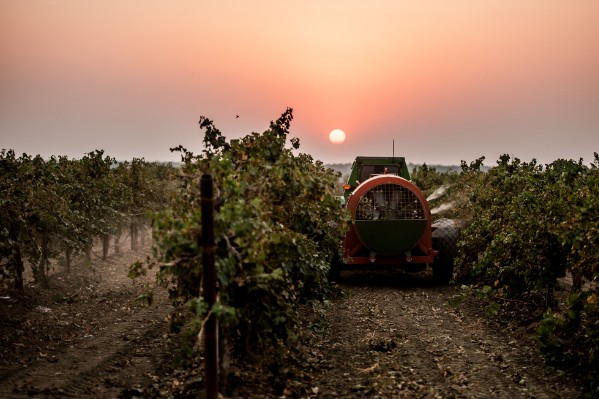 La modulation de pulvérisation par Lidar séduit John Deere
