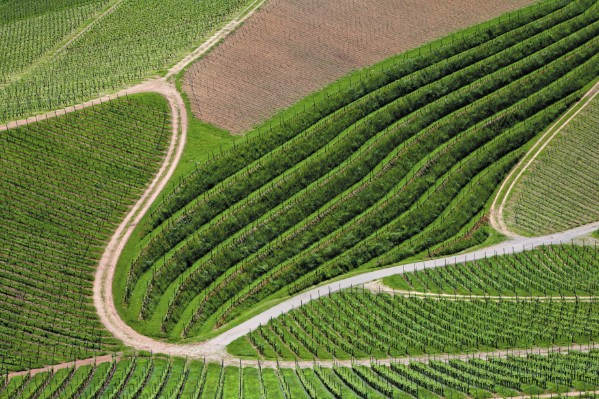 Les cartes des appellations viticoles disponibles en ligne