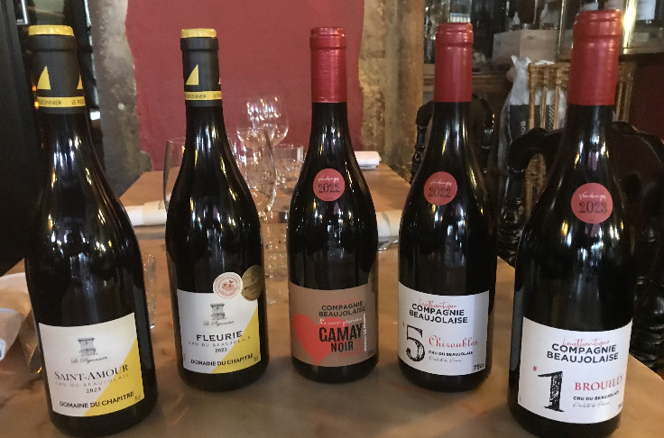 Le vin du 
