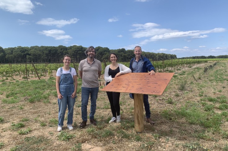 Quand la forêt rentre dans la vigne