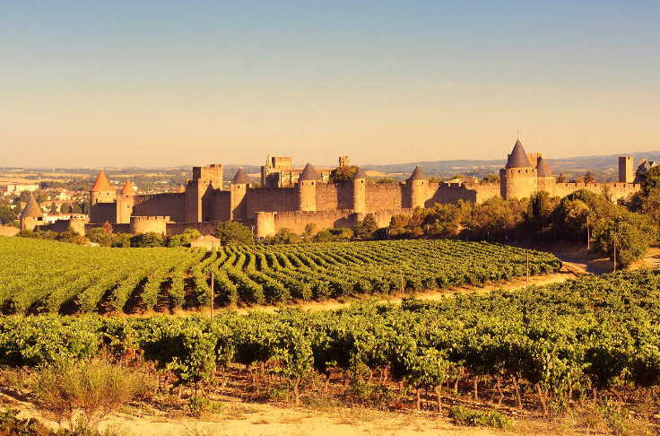 Feu vert pour l’intégration à Pays d’Oc des vins IGP Côteaux de Narbonne et Cité de Carcassonne