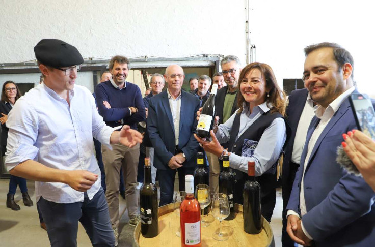 5 millions € pour réformer la filière viticole en Occitanie