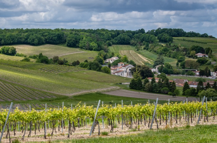 Nouveaux moyens pour la transition environnementale du vignoble de Cognac