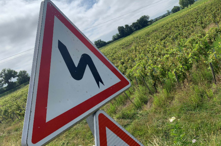 Vers des sanctions à 5 000 €/ha pour les vignes en friche