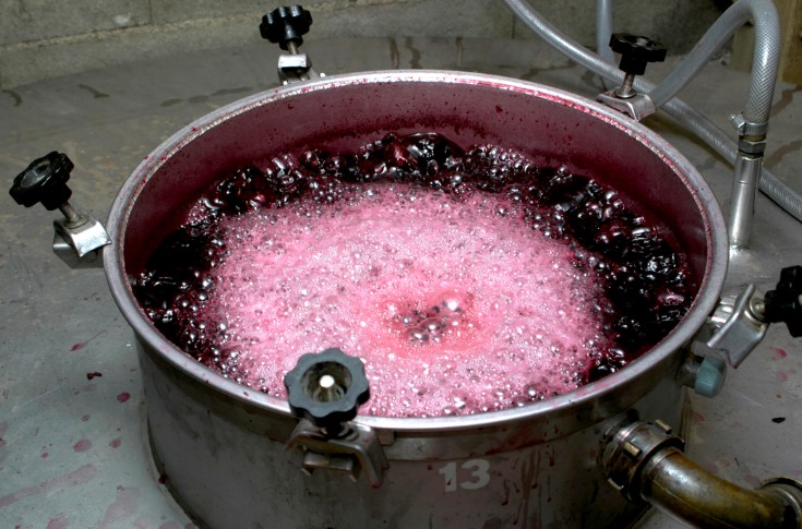 Ne laissez plus s’échapper le CO₂ de vos cuves de vin, vendez-le 80 à 100 €/tonne !