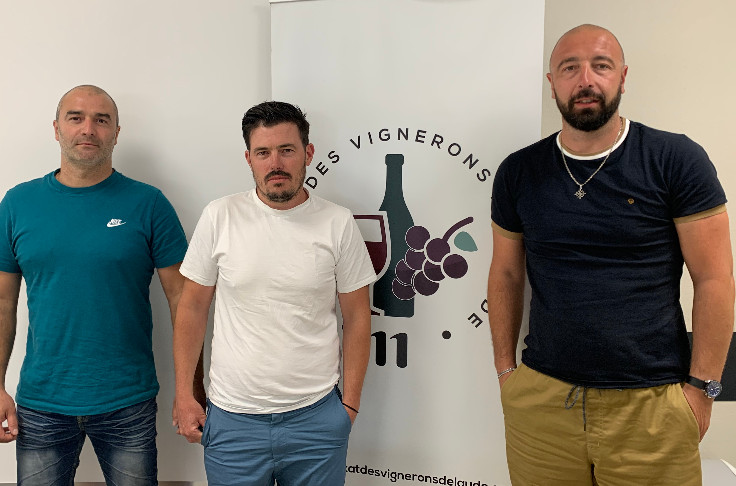 Les vignerons de l'Aude appellent région et négoce à la rescousse
