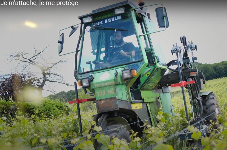 Déhanchés vignerons pour la ceinture de sécurité
