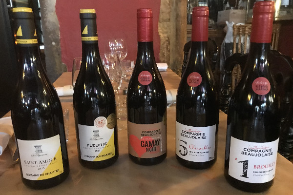 Le vin du 'Beaujolais pour occuper un segment de marché délaissé par la Bourgogne'