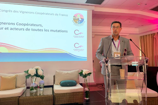 La viticulture dans le rouge et dans le flou