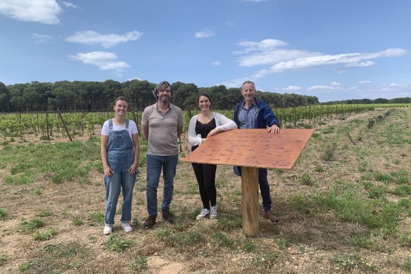 Quand la forêt rentre dans la vigne