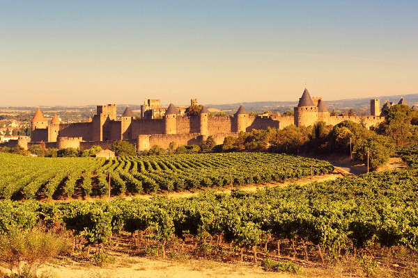 Feu vert pour l’intégration à Pays d’Oc des vins IGP Côteaux de Narbonne et Cité de Carcassonne