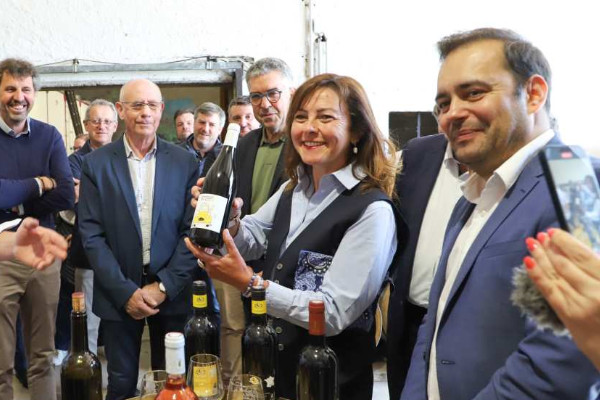 5 millions € pour réformer la filière viticole en Occitanie