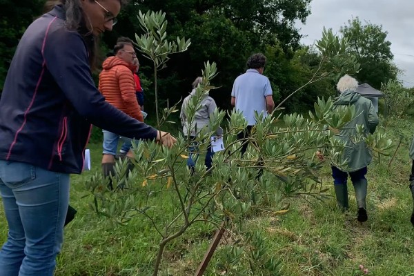 De la vigne mais pas que ! La diversification pour éviter la crise ? [vidéo]