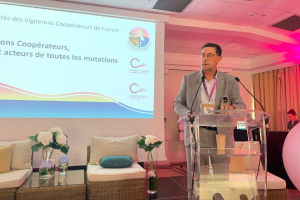 5 alliés et 1 opposant aux organisations de producteurs dans la filière vin